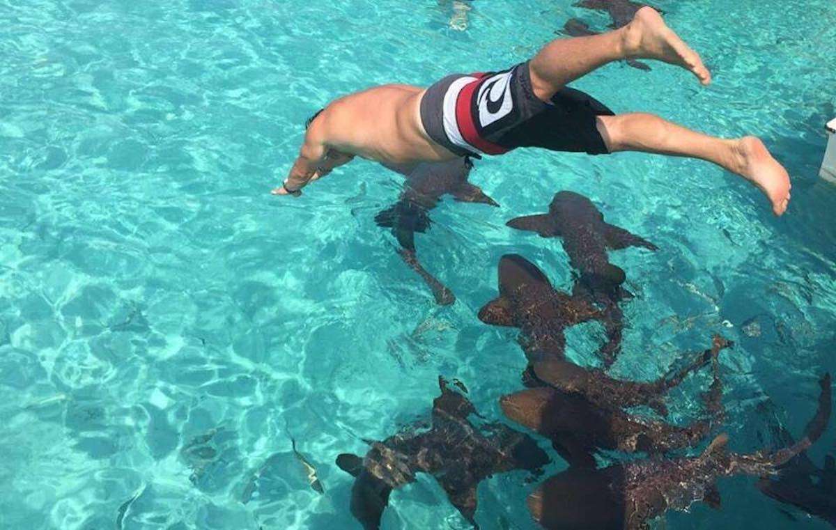 Swimming with Nurse Sharks