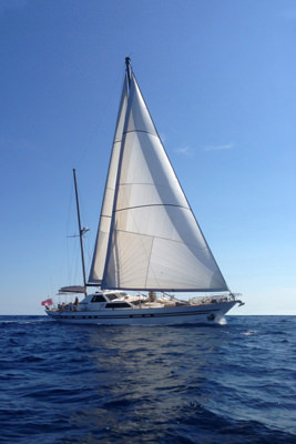 lotty88 charter yacht