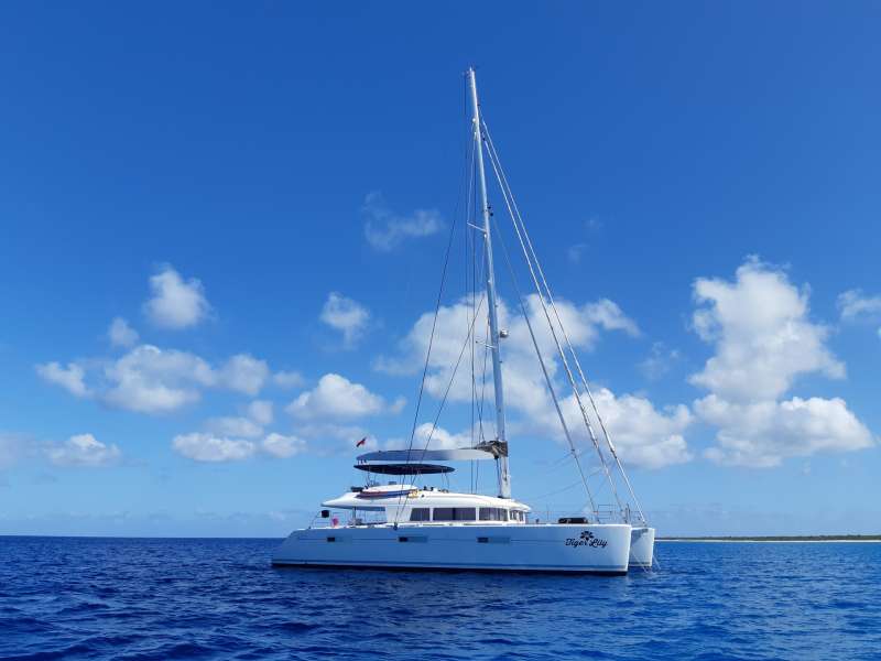 tigerlily62 charter yacht