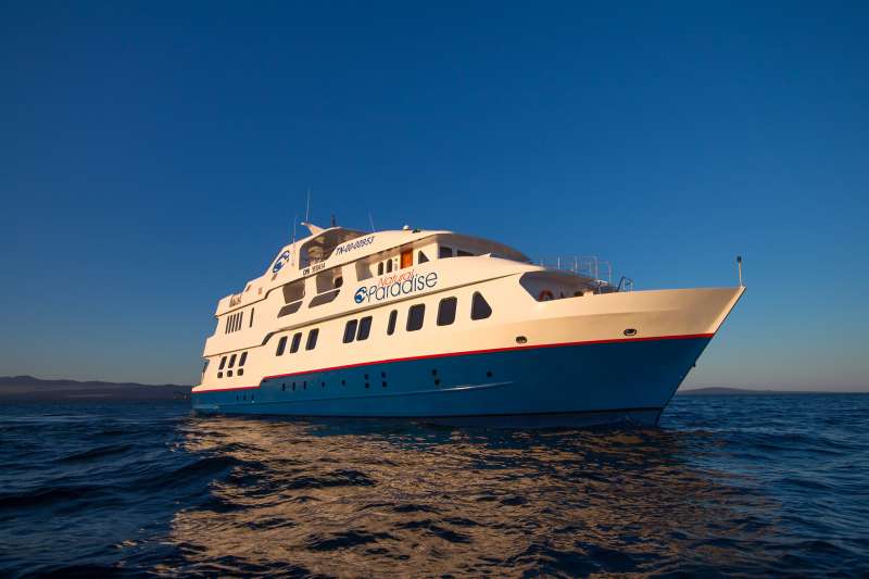 naturalparadise111 charter yacht